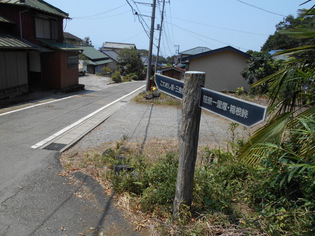 f:id:kaz-mt-wisteria:20180825234141j:plain f:id:kaz-mt-wisteria:20180825234141j:plain