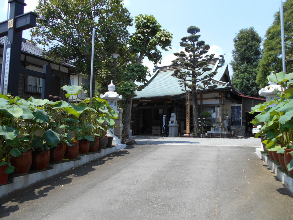 f:id:kaz-mt-wisteria:20180825235200j:plain f:id:kaz-mt-wisteria:20180825235200j:plain
