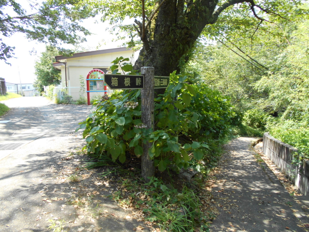 f:id:kaz-mt-wisteria:20180826000025j:plain f:id:kaz-mt-wisteria:20180826000025j:plain