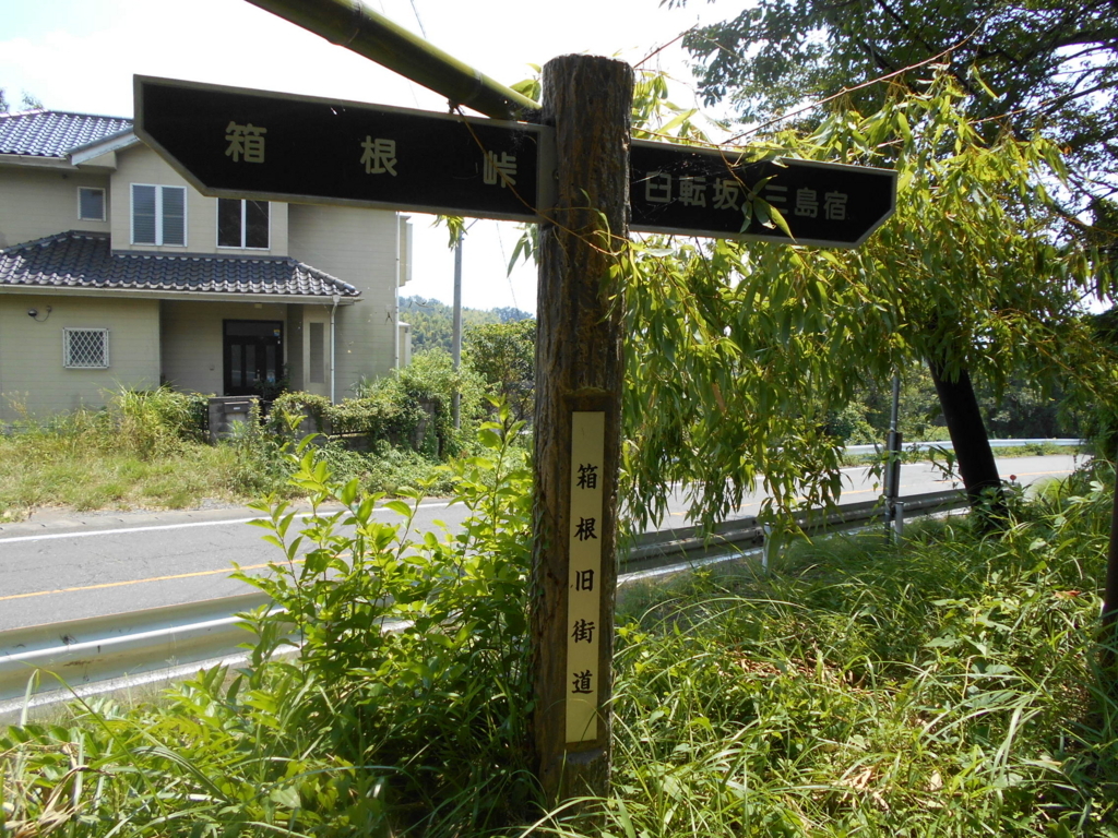 f:id:kaz-mt-wisteria:20180826001707j:plain f:id:kaz-mt-wisteria:20180826001707j:plain