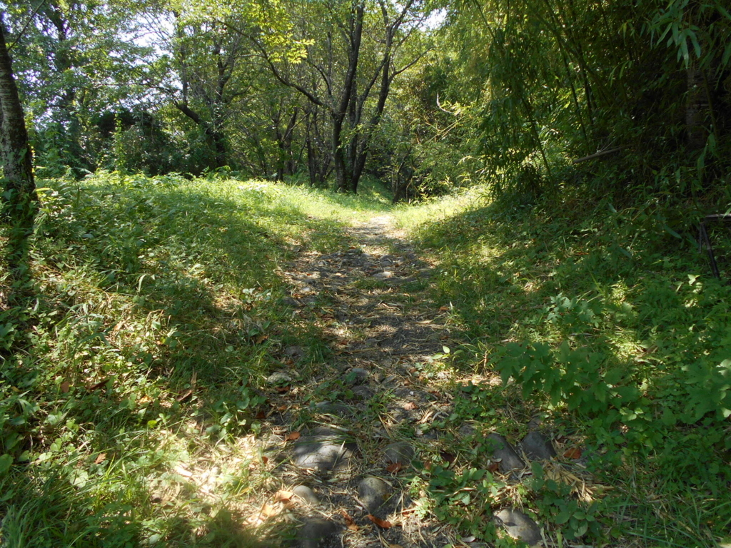 f:id:kaz-mt-wisteria:20180826001743j:plain f:id:kaz-mt-wisteria:20180826001743j:plain