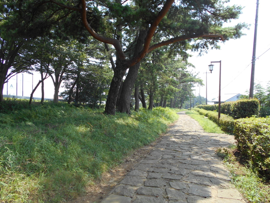 f:id:kaz-mt-wisteria:20180826003549j:plain f:id:kaz-mt-wisteria:20180826003549j:plain