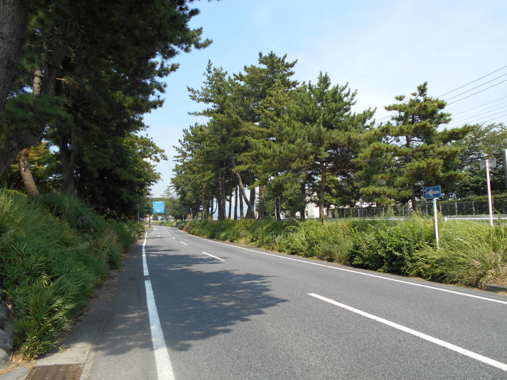 f:id:kaz-mt-wisteria:20180826004050j:plain f:id:kaz-mt-wisteria:20180826004050j:plain