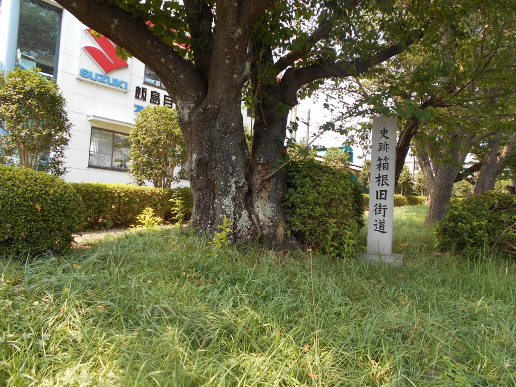 f:id:kaz-mt-wisteria:20180826004440j:plain f:id:kaz-mt-wisteria:20180826004440j:plain