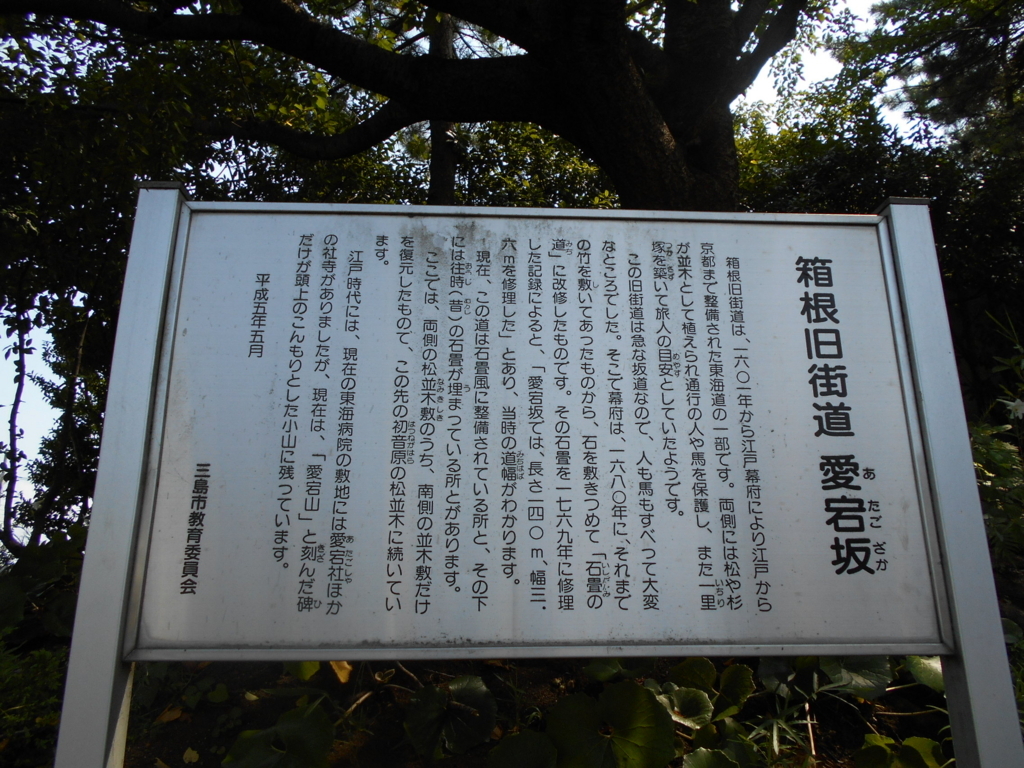 f:id:kaz-mt-wisteria:20180826004944j:plain f:id:kaz-mt-wisteria:20180826004944j:plain