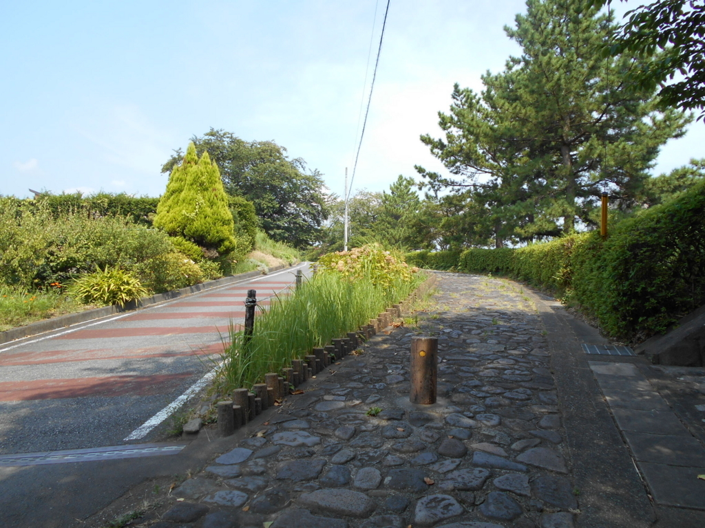 f:id:kaz-mt-wisteria:20180826005035j:plain f:id:kaz-mt-wisteria:20180826005035j:plain