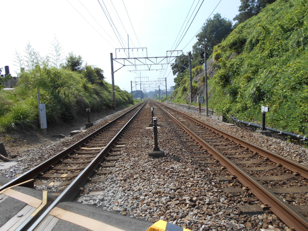 f:id:kaz-mt-wisteria:20180826005140j:plain f:id:kaz-mt-wisteria:20180826005140j:plain