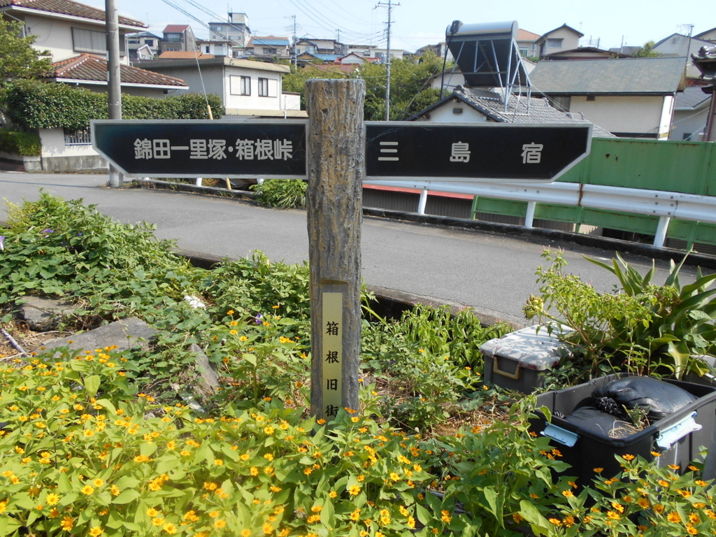 f:id:kaz-mt-wisteria:20180826005339j:plain f:id:kaz-mt-wisteria:20180826005339j:plain