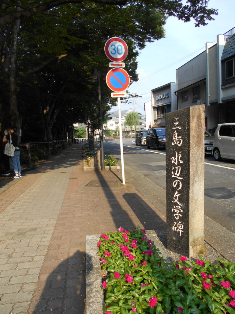 f:id:kaz-mt-wisteria:20180826011438j:plain f:id:kaz-mt-wisteria:20180826011438j:plain