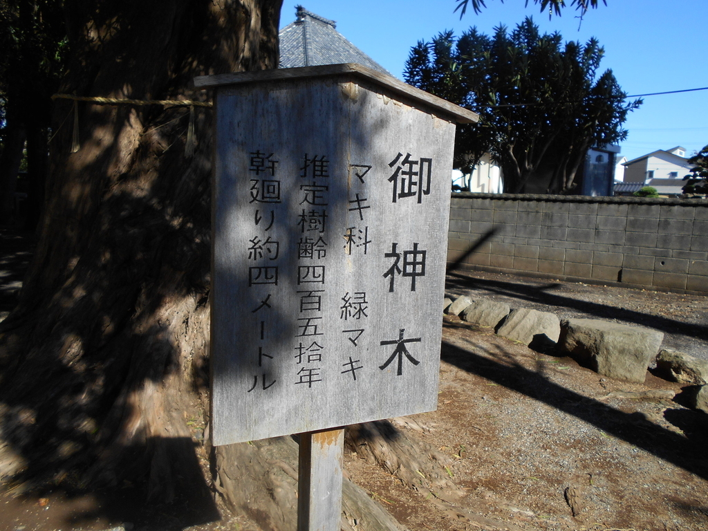 f:id:kaz-mt-wisteria:20181014142409j:plain f:id:kaz-mt-wisteria:20181014142409j:plain