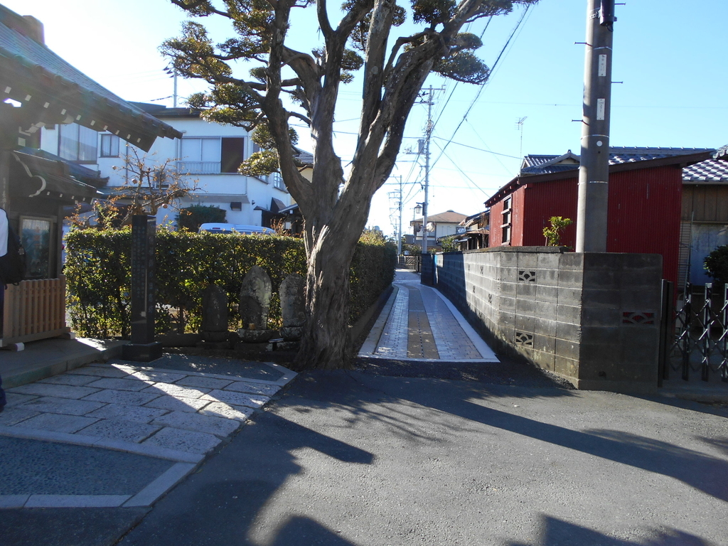 f:id:kaz-mt-wisteria:20181014144751j:plain f:id:kaz-mt-wisteria:20181014144751j:plain