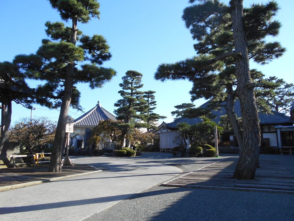 f:id:kaz-mt-wisteria:20181014145046j:plain f:id:kaz-mt-wisteria:20181014145046j:plain
