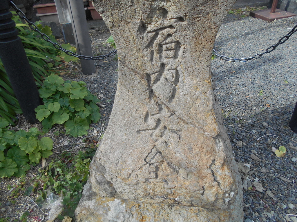 f:id:kaz-mt-wisteria:20190218234503j:plain f:id:kaz-mt-wisteria:20190218234503j:plain