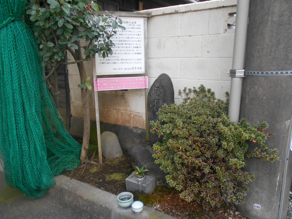 f:id:kaz-mt-wisteria:20190219001417j:plain f:id:kaz-mt-wisteria:20190219001417j:plain