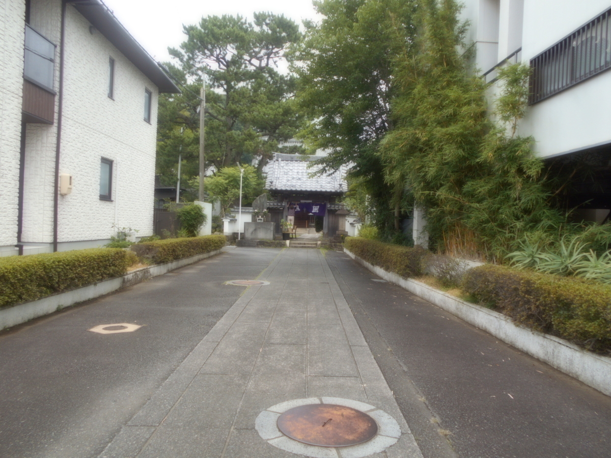 f:id:kaz-mt-wisteria:20190714103628j:plain f:id:kaz-mt-wisteria:20190714103628j:plain