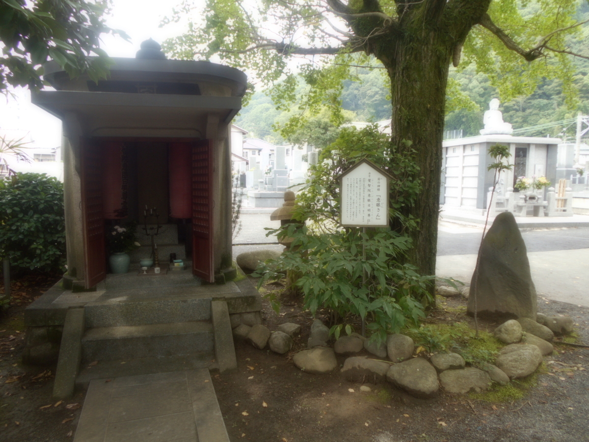 f:id:kaz-mt-wisteria:20190714103907j:plain f:id:kaz-mt-wisteria:20190714103907j:plain