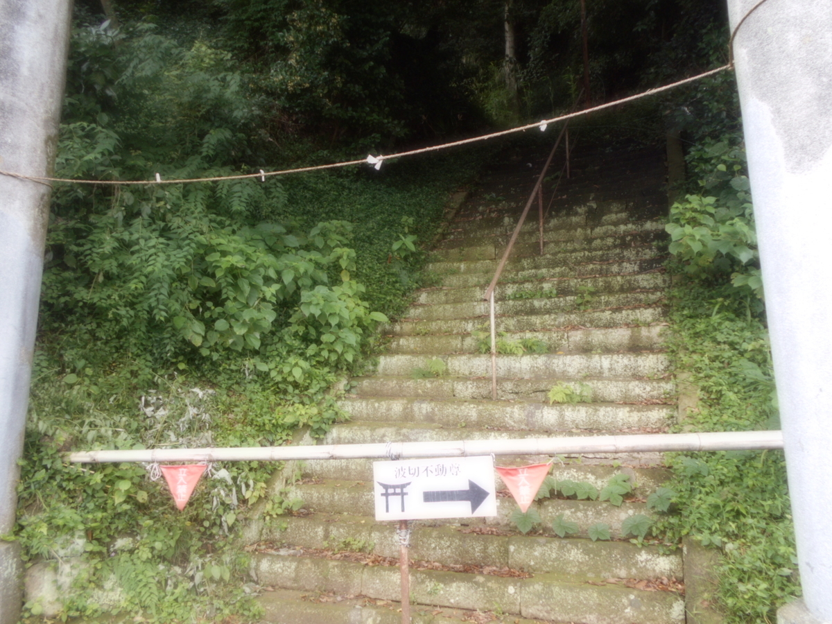 f:id:kaz-mt-wisteria:20190714114424j:plain f:id:kaz-mt-wisteria:20190714114424j:plain