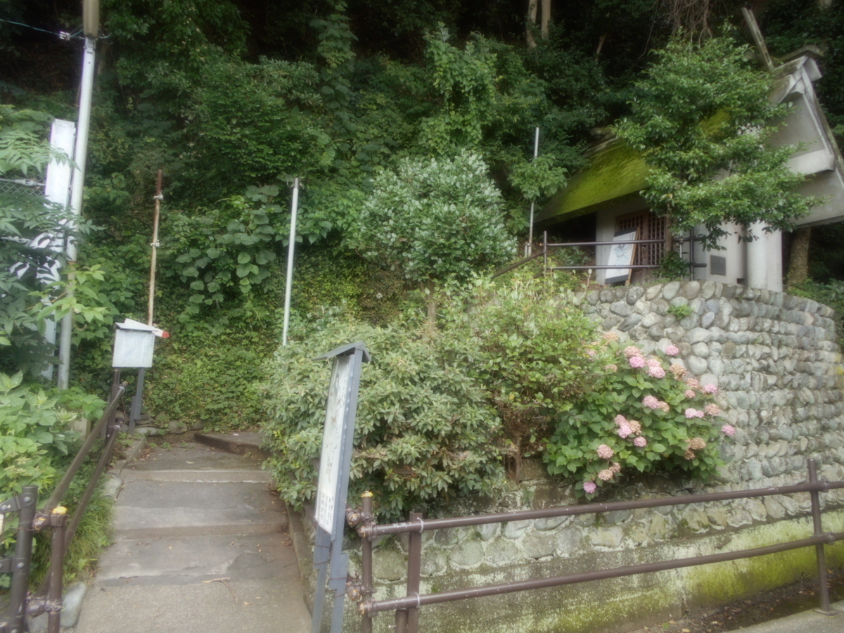 f:id:kaz-mt-wisteria:20190714114540j:plain f:id:kaz-mt-wisteria:20190714114540j:plain