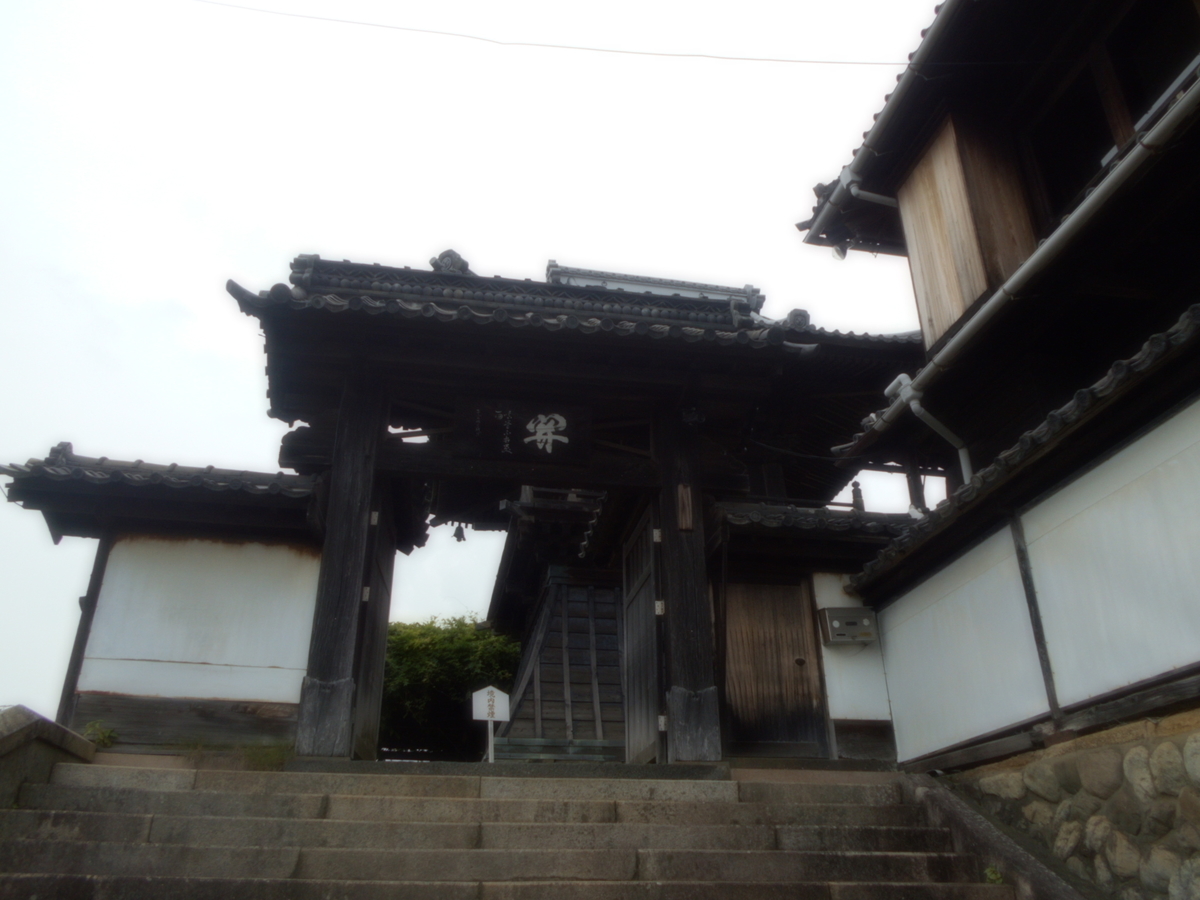 f:id:kaz-mt-wisteria:20190714115846j:plain f:id:kaz-mt-wisteria:20190714115846j:plain