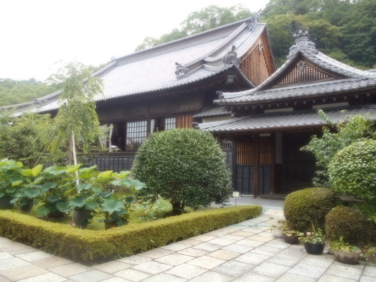 f:id:kaz-mt-wisteria:20190714115917j:plain f:id:kaz-mt-wisteria:20190714115917j:plain