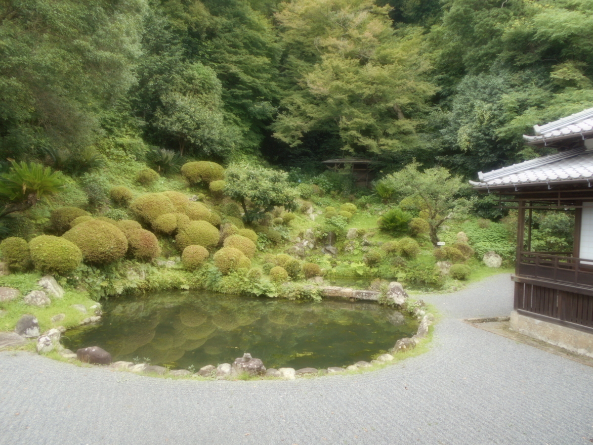 f:id:kaz-mt-wisteria:20190714120223j:plain f:id:kaz-mt-wisteria:20190714120223j:plain