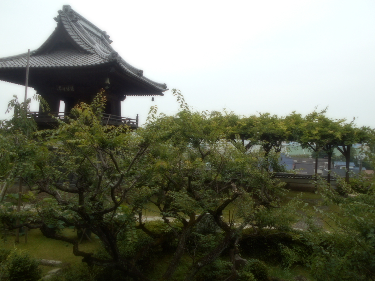 f:id:kaz-mt-wisteria:20190714120639j:plain f:id:kaz-mt-wisteria:20190714120639j:plain