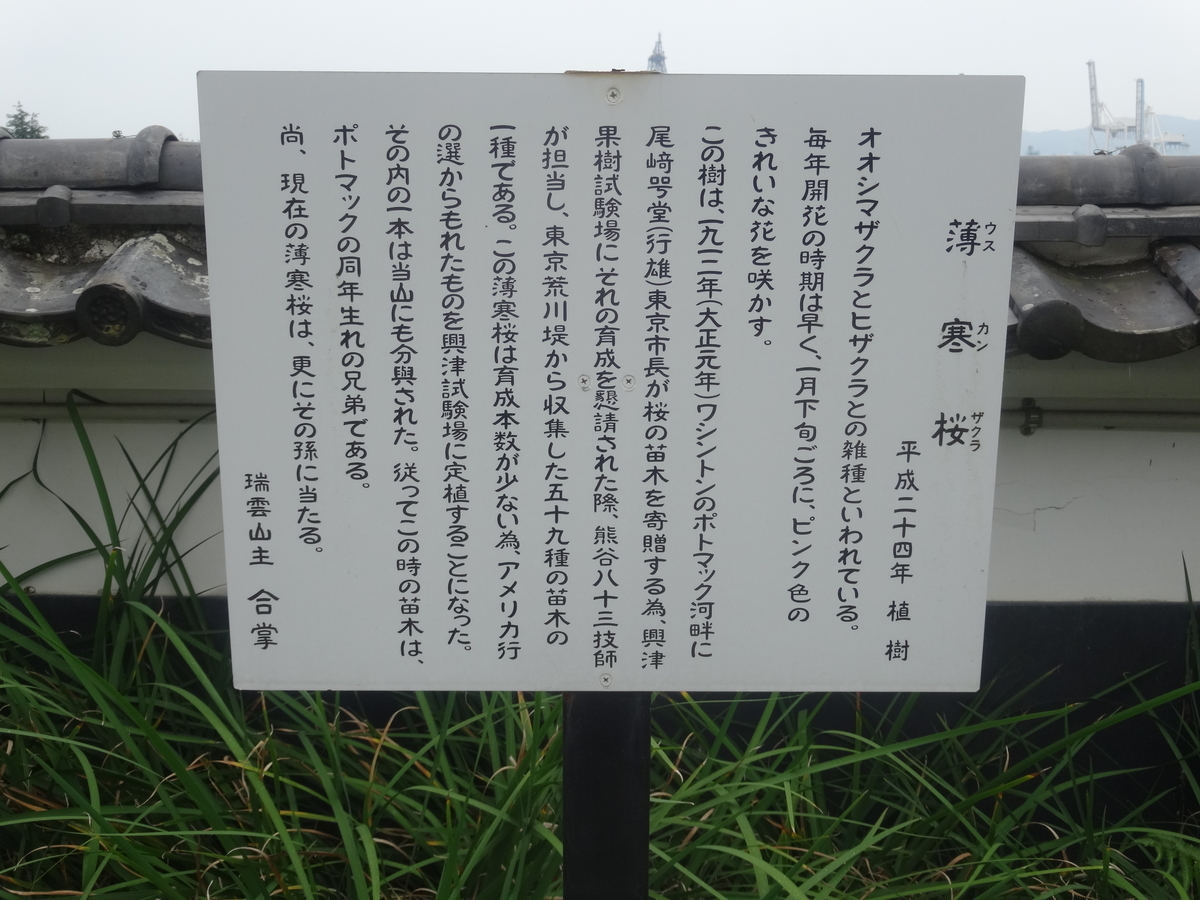 f:id:kaz-mt-wisteria:20190714121617j:plain f:id:kaz-mt-wisteria:20190714121617j:plain