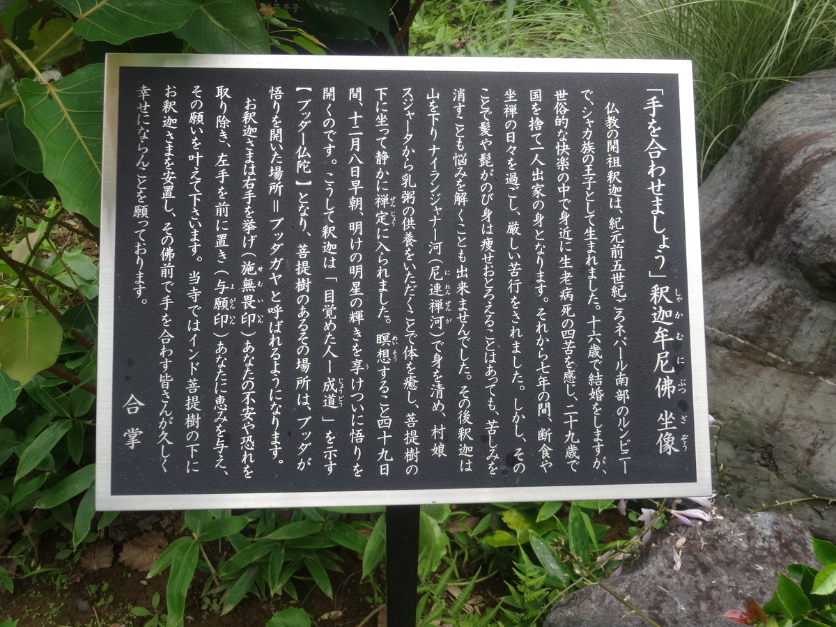 f:id:kaz-mt-wisteria:20190714122010j:plain f:id:kaz-mt-wisteria:20190714122010j:plain
