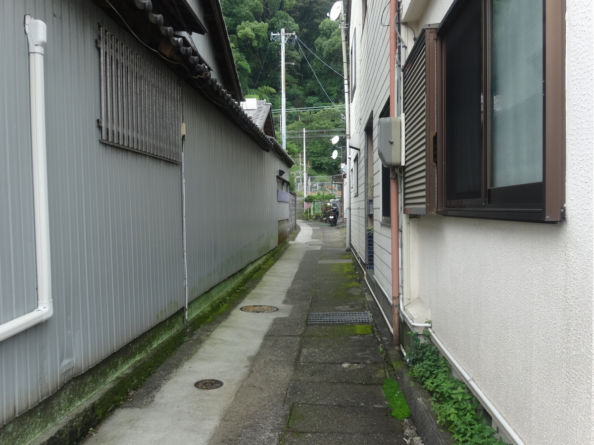 f:id:kaz-mt-wisteria:20190714123901j:plain f:id:kaz-mt-wisteria:20190714123901j:plain