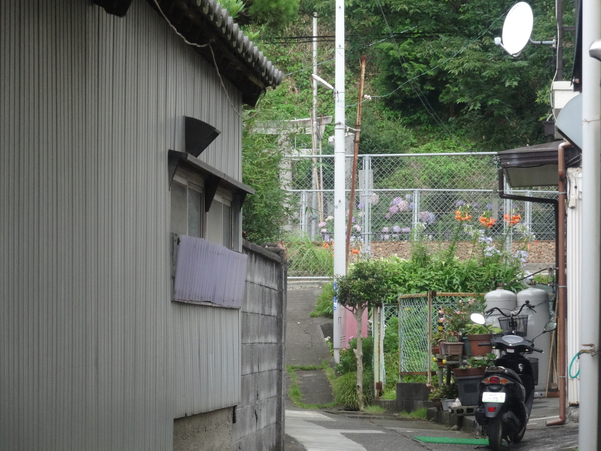 f:id:kaz-mt-wisteria:20190714123959j:plain f:id:kaz-mt-wisteria:20190714123959j:plain