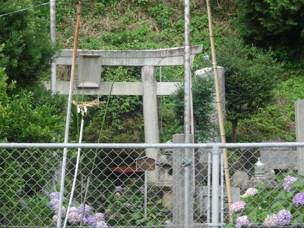 f:id:kaz-mt-wisteria:20190714124024j:plain f:id:kaz-mt-wisteria:20190714124024j:plain