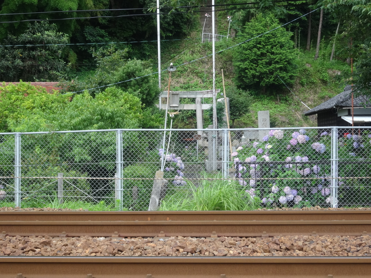 f:id:kaz-mt-wisteria:20190714124226j:plain f:id:kaz-mt-wisteria:20190714124226j:plain