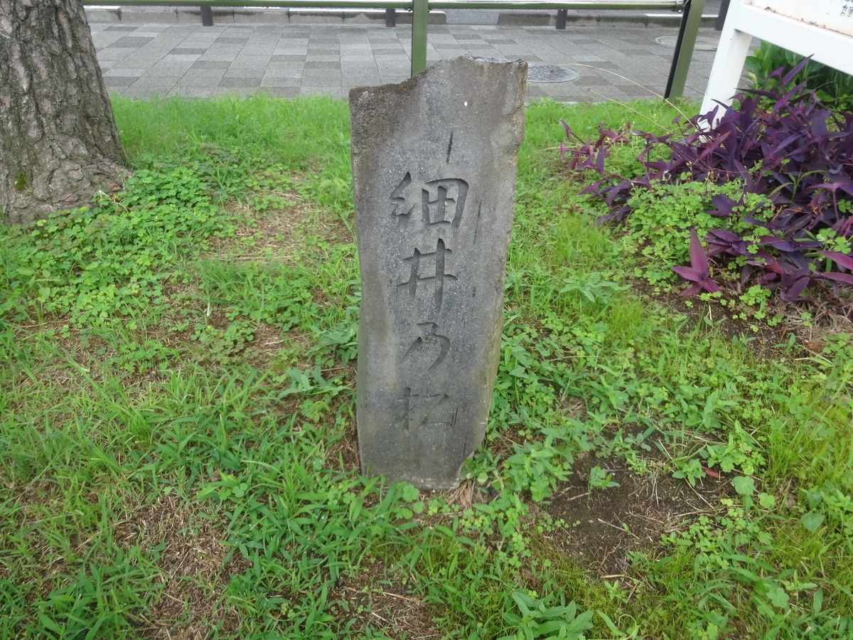 f:id:kaz-mt-wisteria:20190714132306j:plain f:id:kaz-mt-wisteria:20190714132306j:plain