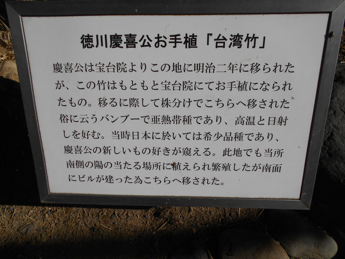 f:id:kaz-mt-wisteria:20200223142218j:plain f:id:kaz-mt-wisteria:20200223142218j:plain