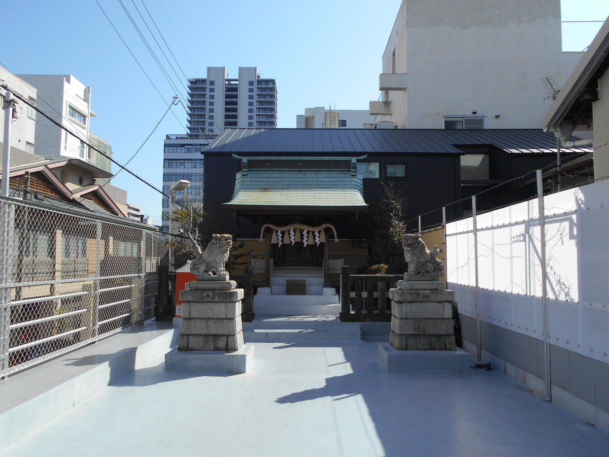 f:id:kaz-mt-wisteria:20200224122533j:plain f:id:kaz-mt-wisteria:20200224122533j:plain