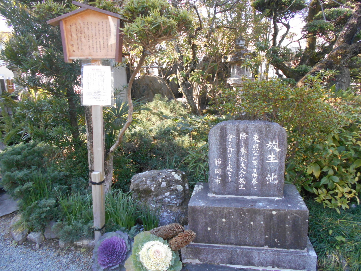 f:id:kaz-mt-wisteria:20200224123358j:plain f:id:kaz-mt-wisteria:20200224123358j:plain