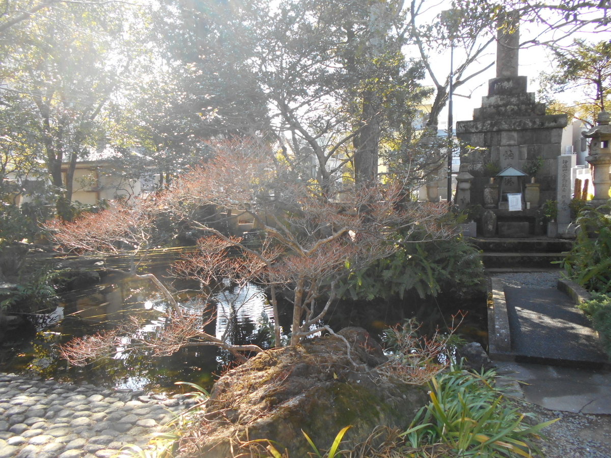 f:id:kaz-mt-wisteria:20200224123703j:plain f:id:kaz-mt-wisteria:20200224123703j:plain