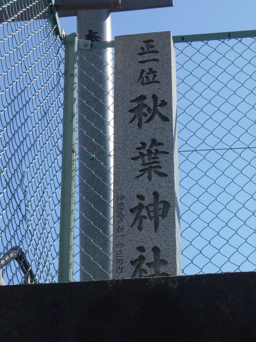 f:id:kaz-mt-wisteria:20200224125152j:plain f:id:kaz-mt-wisteria:20200224125152j:plain