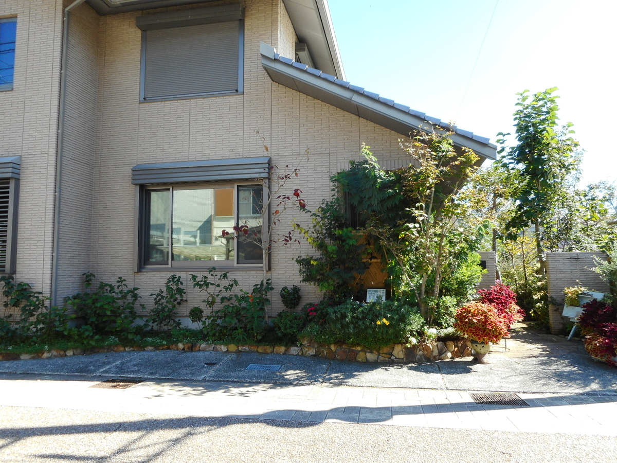 f:id:kaz-mt-wisteria:20201108170317j:plain f:id:kaz-mt-wisteria:20201108170317j:plain