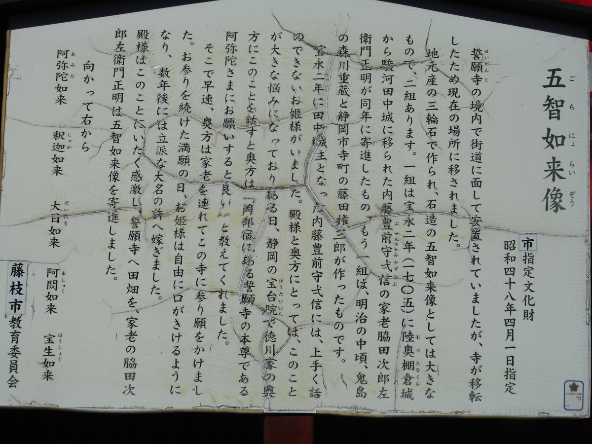 f:id:kaz-mt-wisteria:20201108171208j:plain f:id:kaz-mt-wisteria:20201108171208j:plain