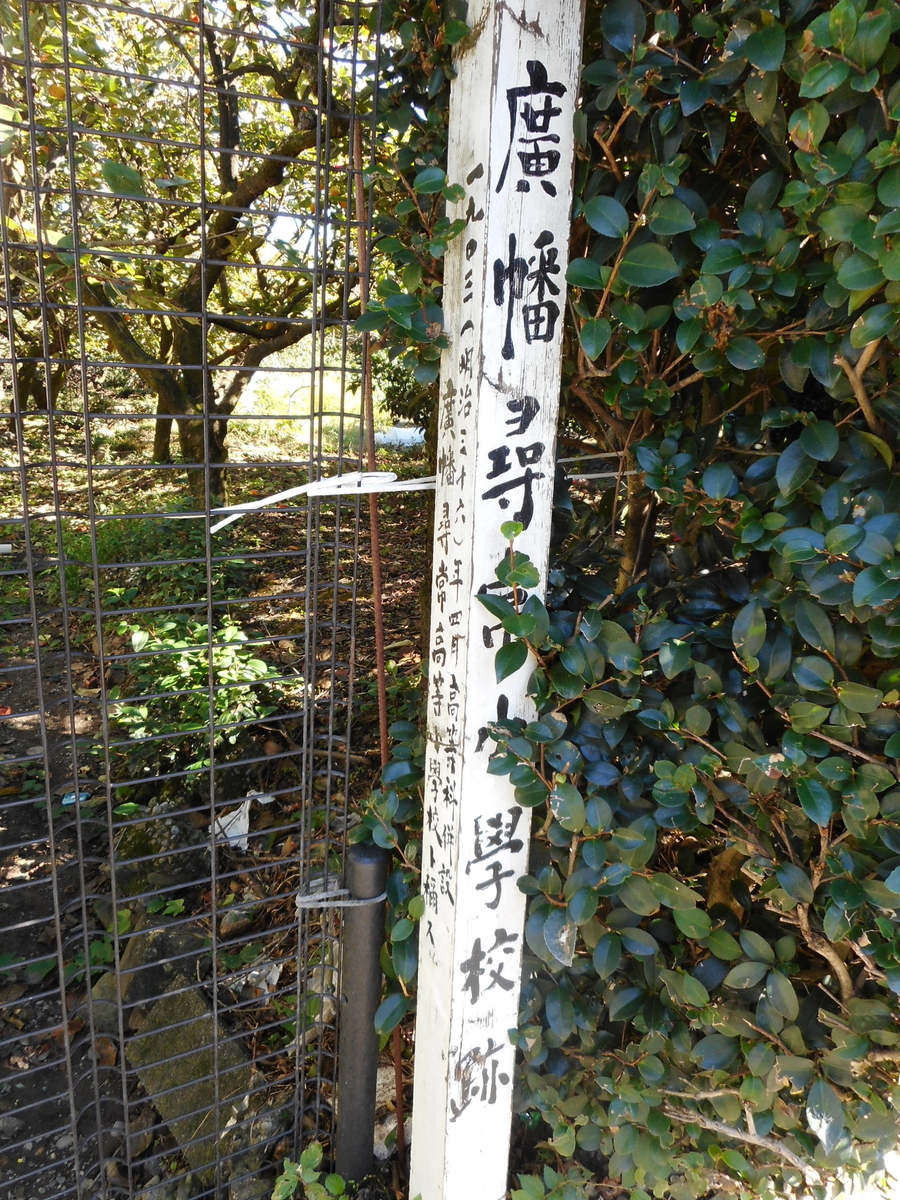 f:id:kaz-mt-wisteria:20201115000144j:plain f:id:kaz-mt-wisteria:20201115000144j:plain