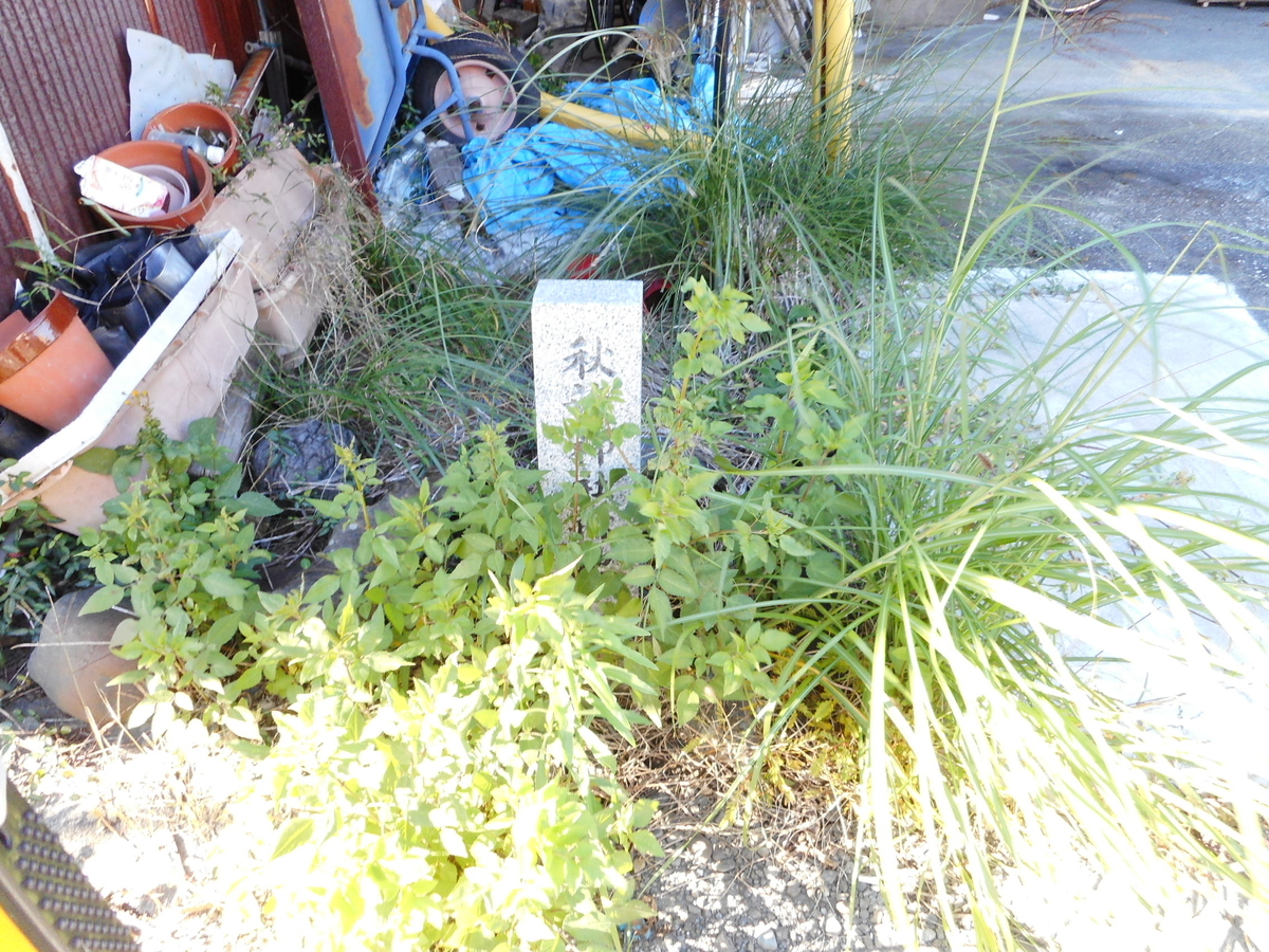 f:id:kaz-mt-wisteria:20201115001422j:plain f:id:kaz-mt-wisteria:20201115001422j:plain