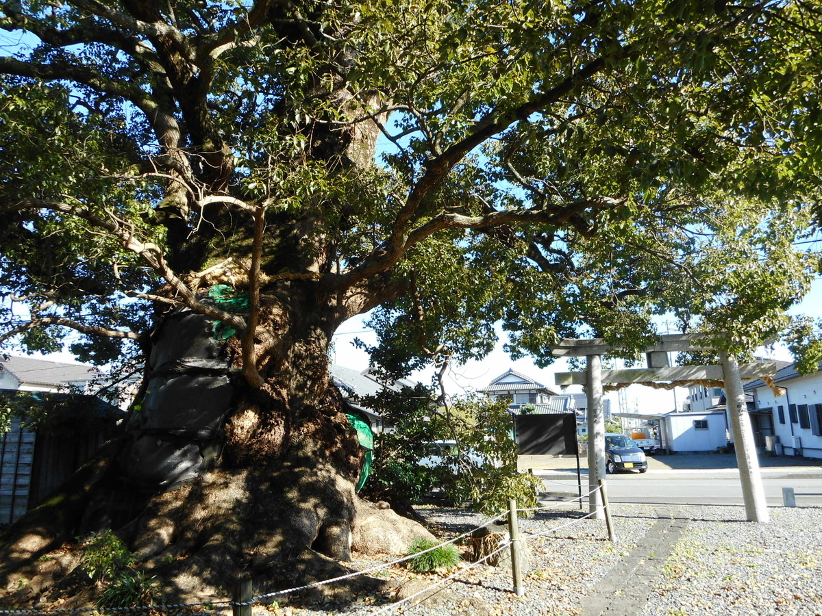 f:id:kaz-mt-wisteria:20201115001823j:plain f:id:kaz-mt-wisteria:20201115001823j:plain
