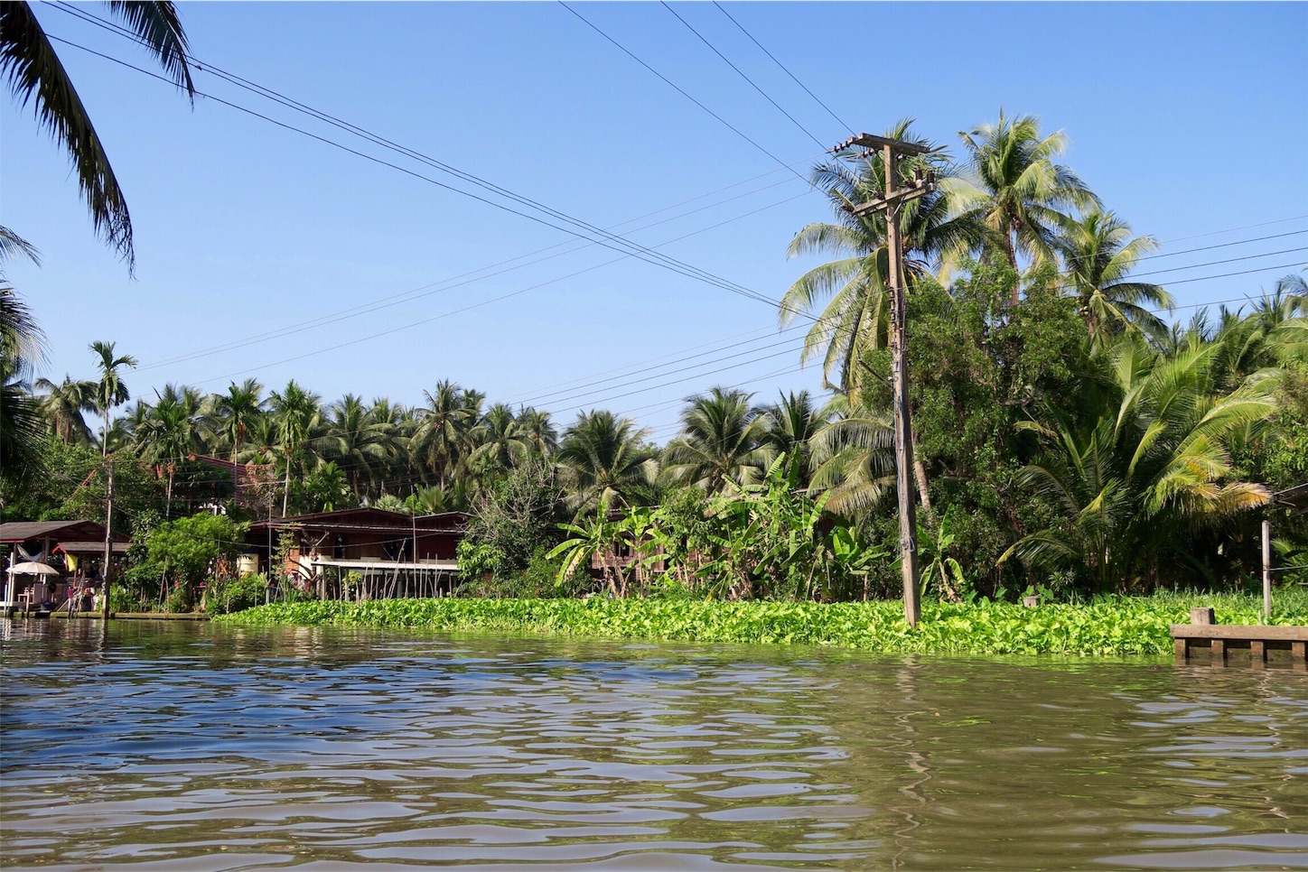 f:id:kaz-sasaki:20170406172241j:image