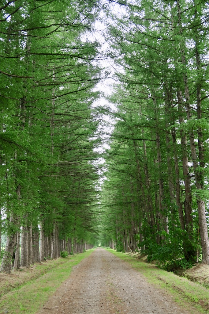 f:id:kaz-sasaki:20190718220147j:image f:id:kaz-sasaki:20190718220147j:image