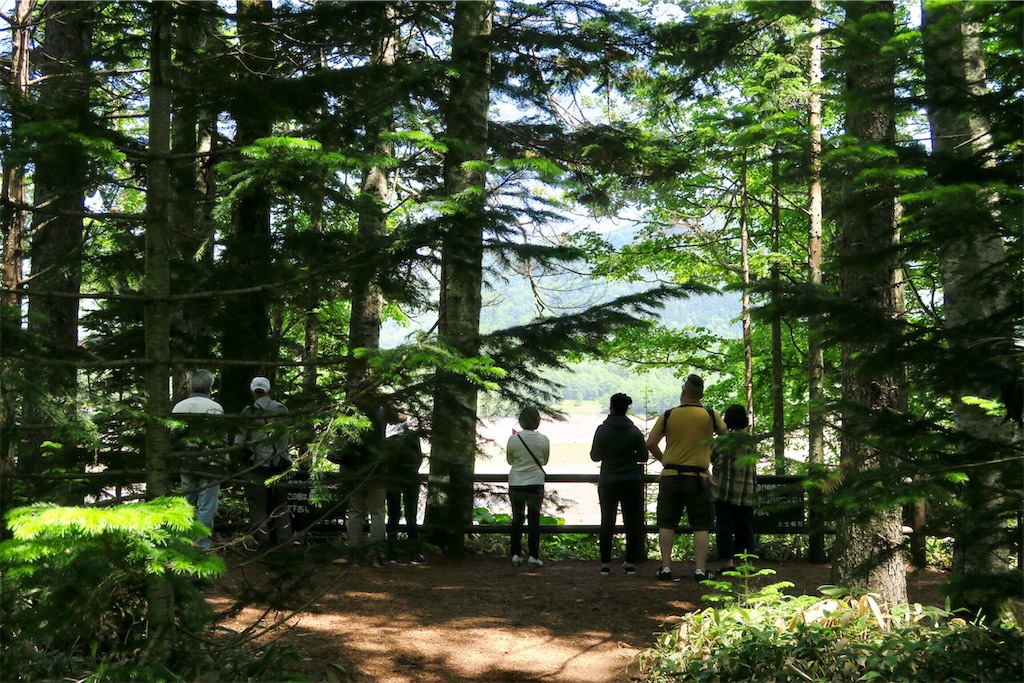 f:id:kaz-sasaki:20190720190024j:image