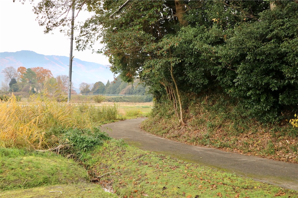 f:id:kaz-sasaki:20200130205951j:image