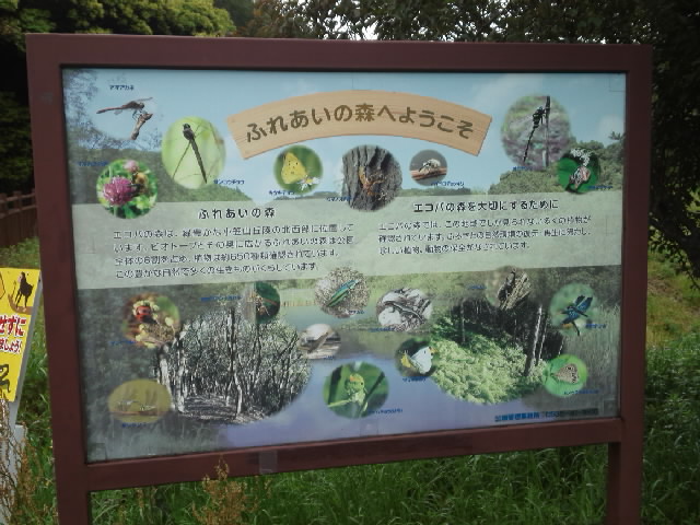 f:id:kaz0511:20210507111426j:plain