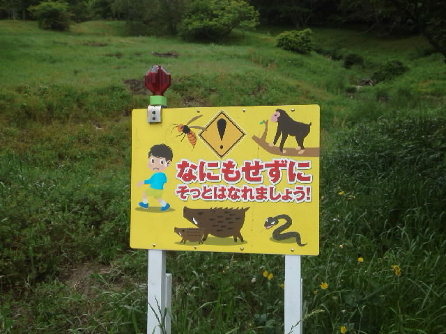 f:id:kaz0511:20210507111439j:plain