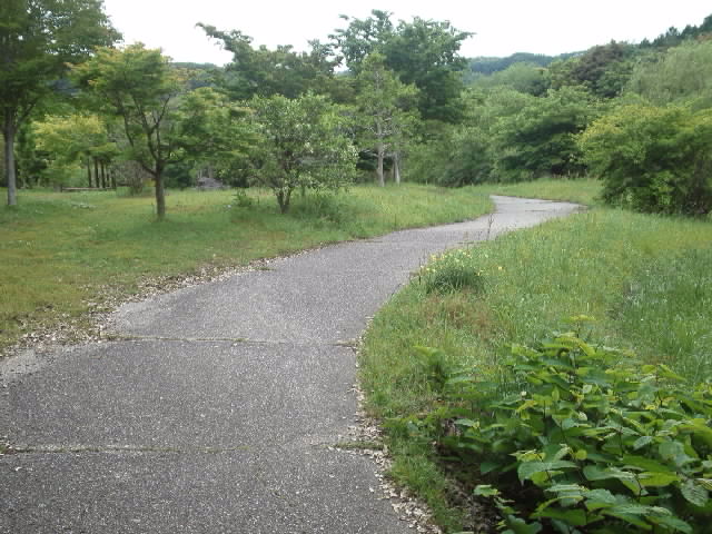 f:id:kaz0511:20210507111551j:plain